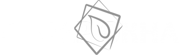 Логотип компании Супер Окна